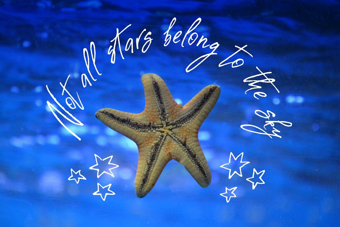 Sea star and inscription: Not all stars belong to the sky.