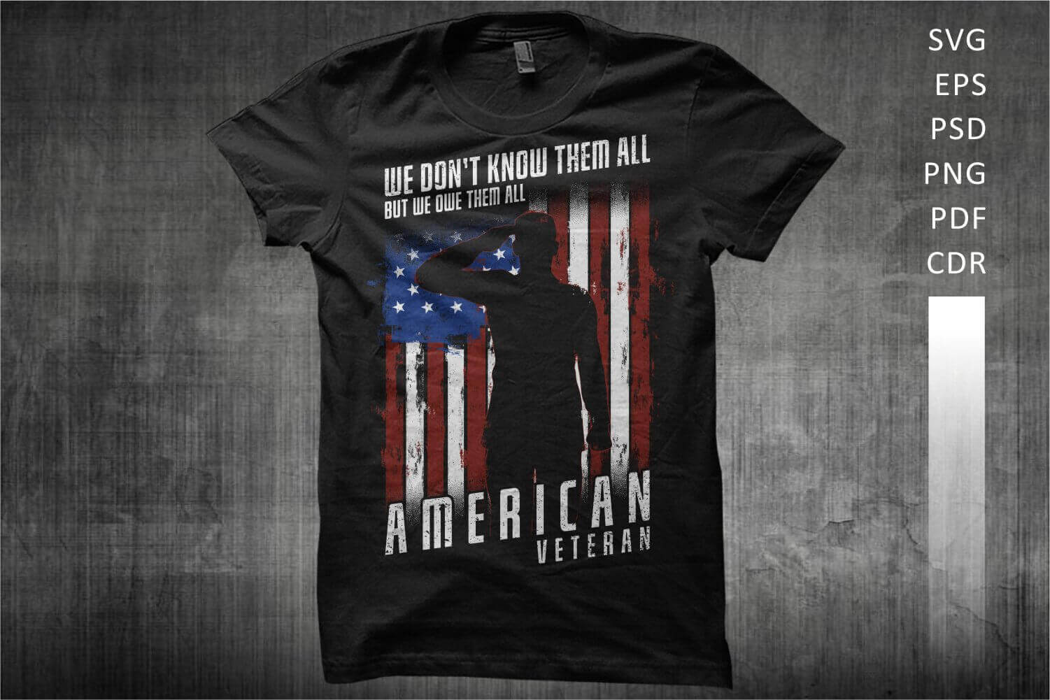 Black t-shirt with a silhouette and the inscription American Veteran.