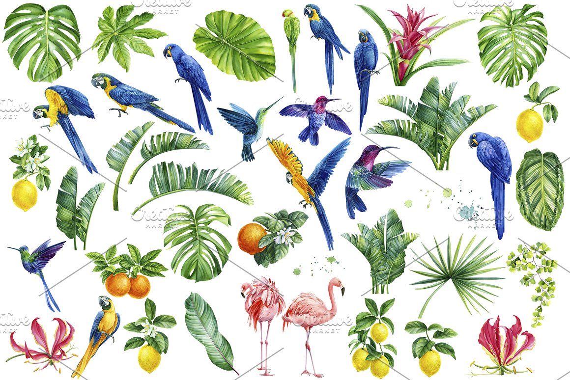 Tropical bird print.