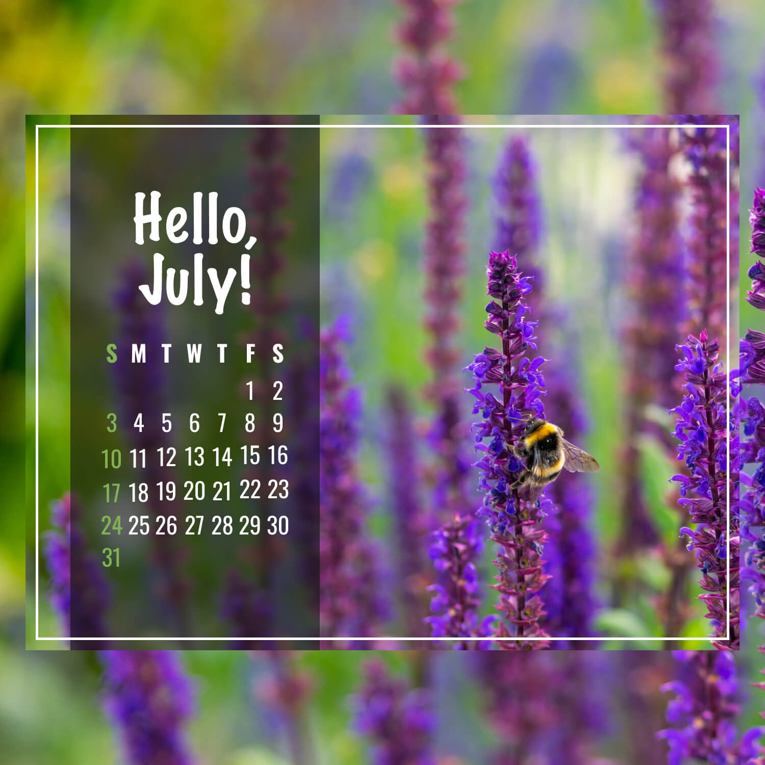 Free Sage Flower July Calendar previes.