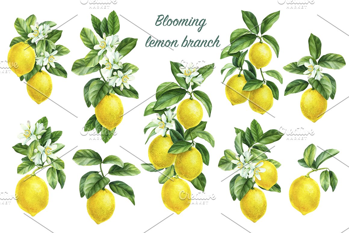 Lemons and more for you.