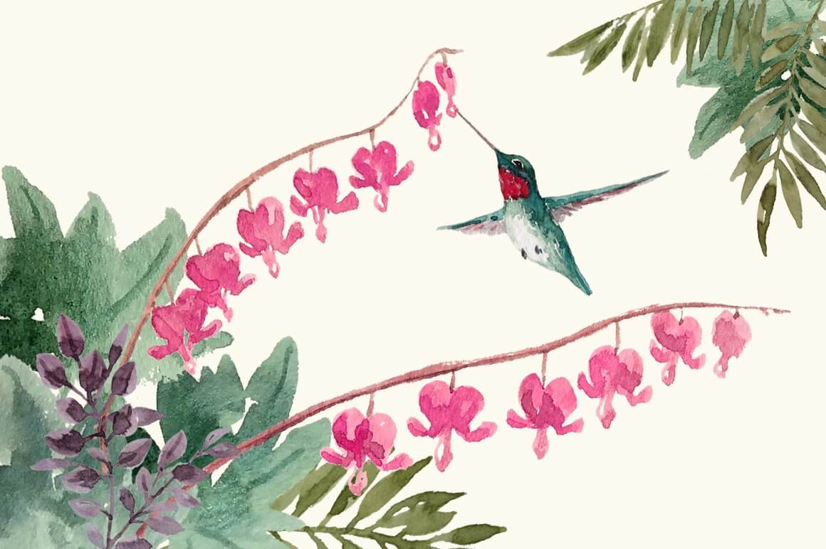 A hummingbird drinks nectar from a pink flower.