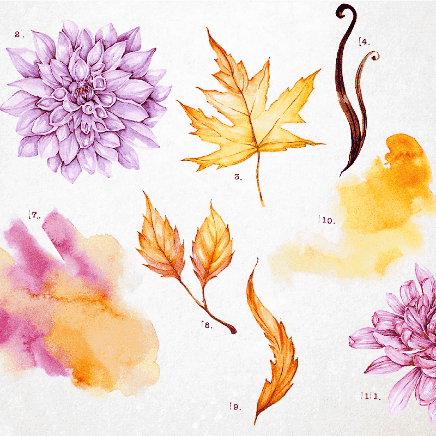 12 Autumn Illustrations Clipart - Autumn Set.