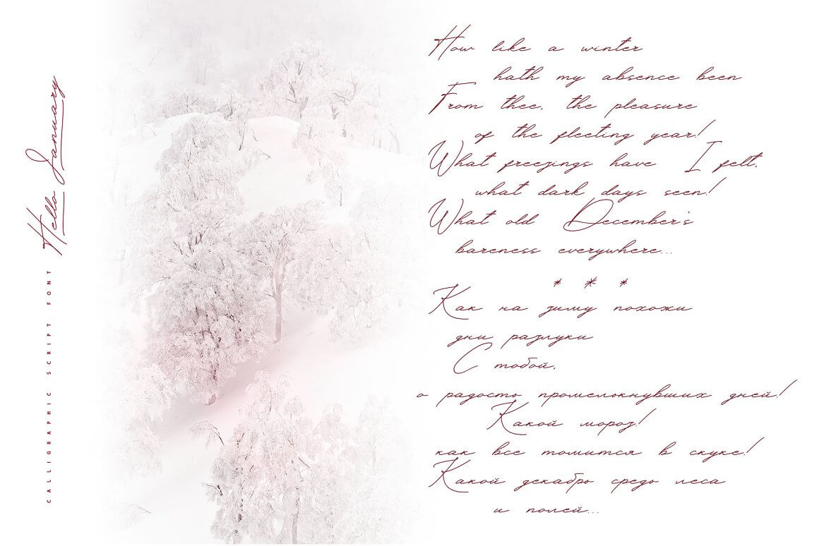 Winter forest and verse on a white and pink background.