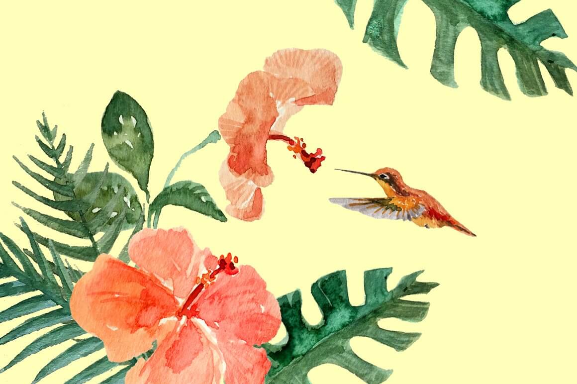 Hummingbird and orange flower.