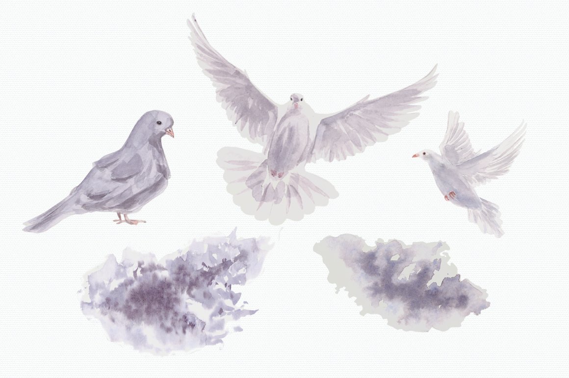 Flying pigeons on a white background.