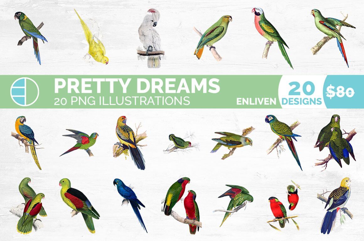 Bird bundle, Pretty Dreams 20 PNG Illustrations.