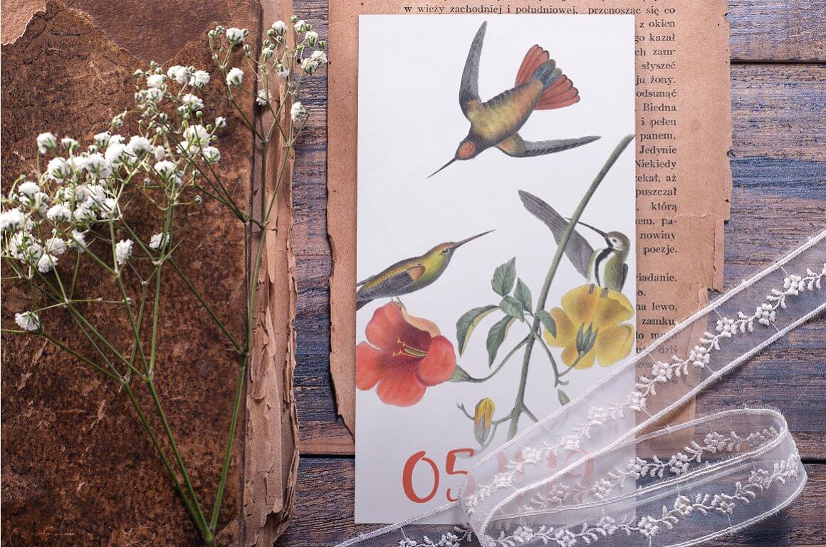 Hummingbird clipart Card.