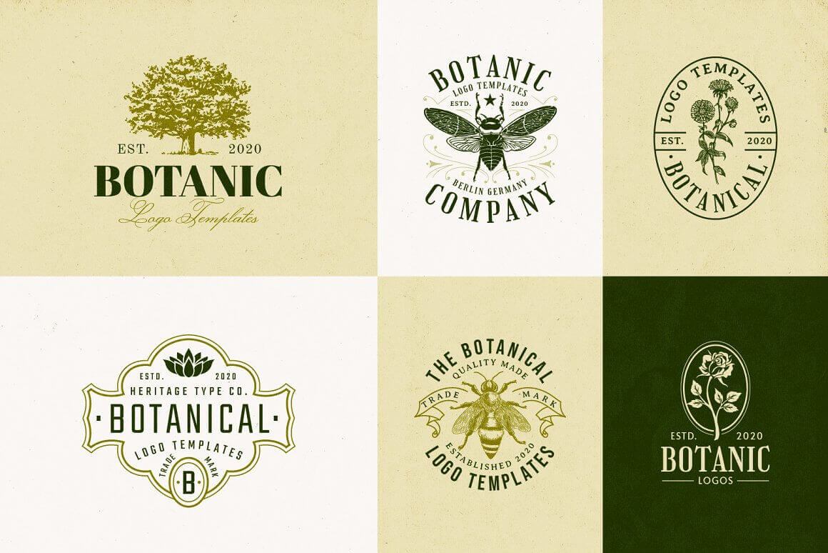 Various designs of botanic logo template.