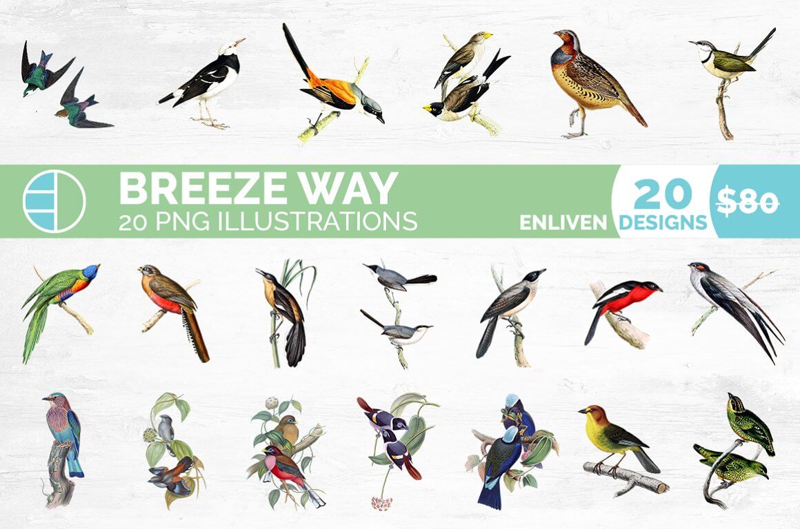 Breeze Way, Enliven Designs 20.
