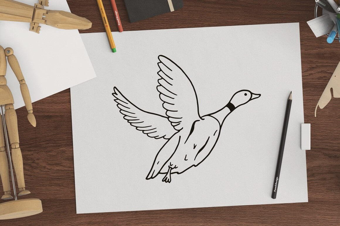 The contour of a wild duck is drawn on a white sheet of paper.