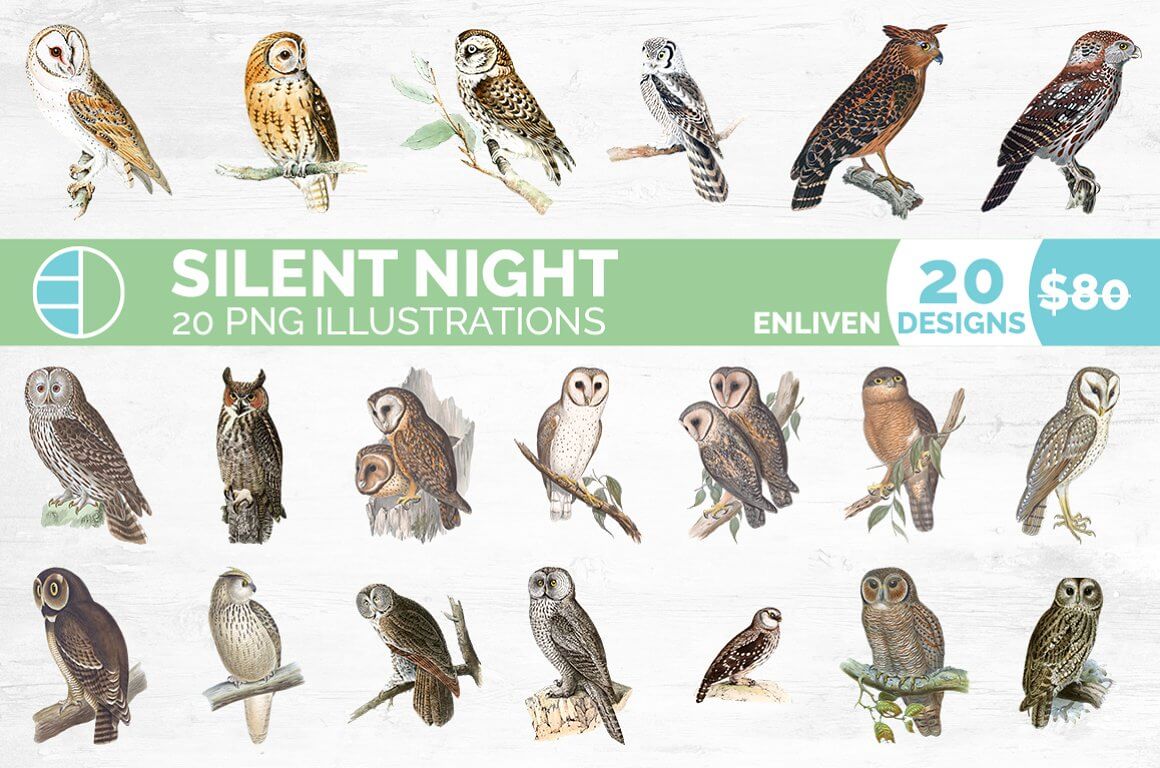 Silent night, twenty owls.