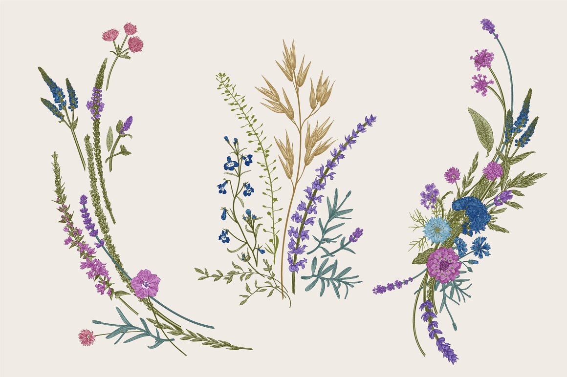 Image of wildflowers on a cream background.