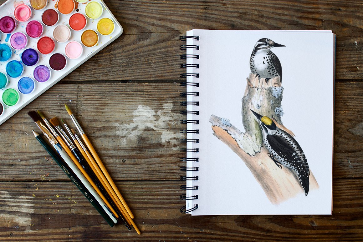 Beautiful woodpecker on the main page of a notebook on wooden table.