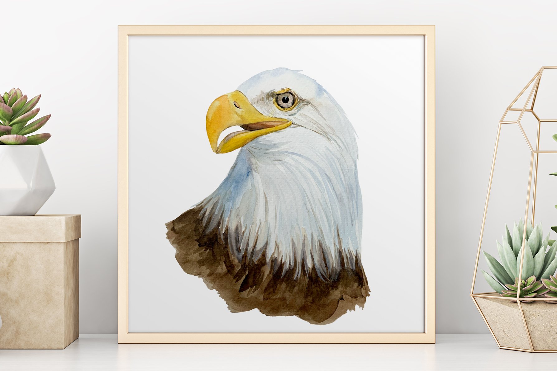 Picture of an eagle's head on a white background in a light style.