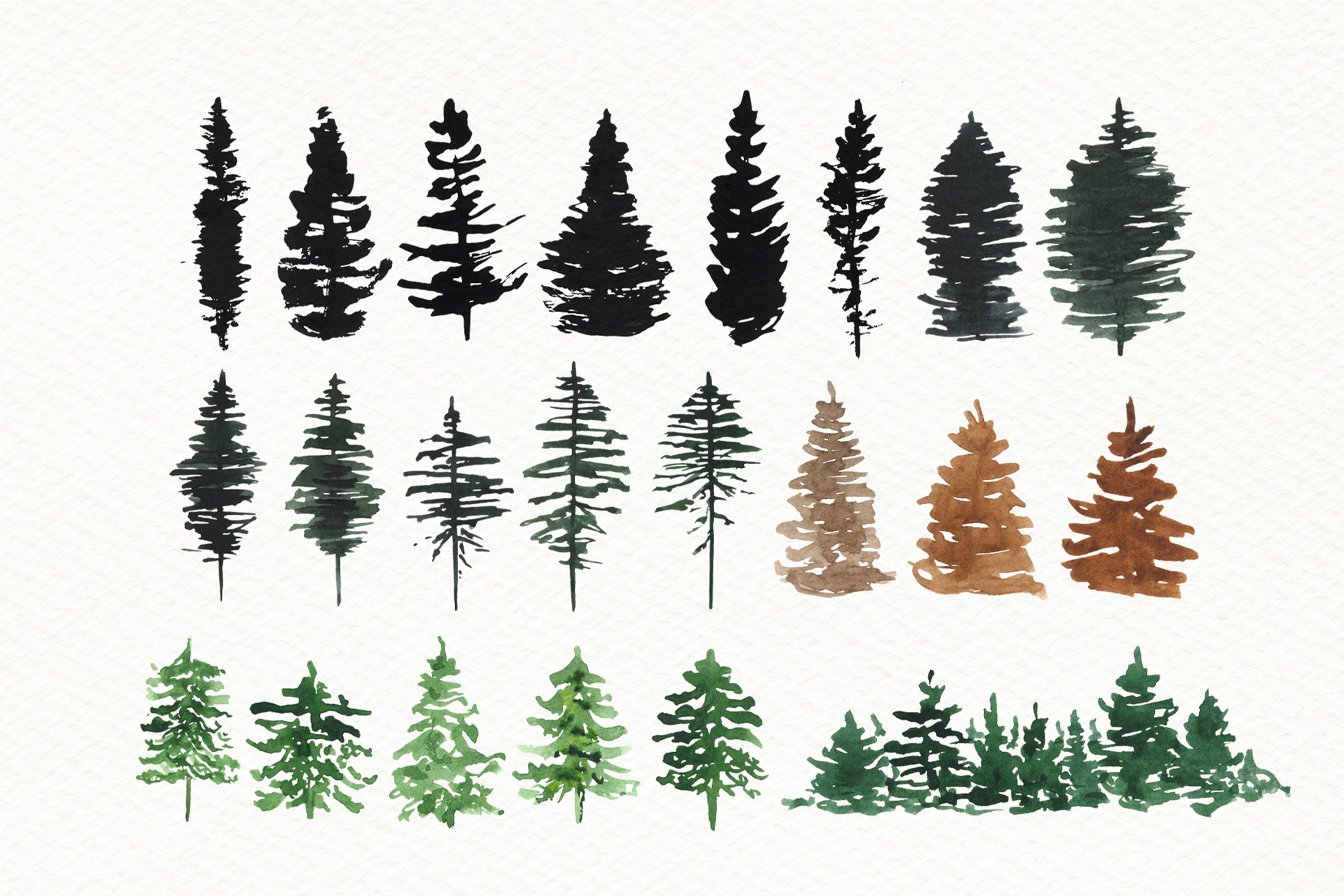 Different trees to choose from.