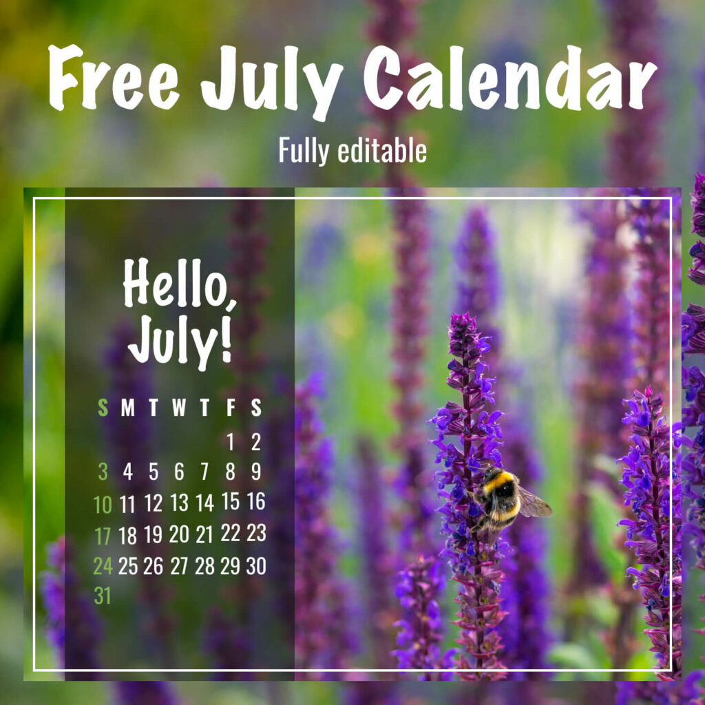 Free Editable July Calendars Masterbundles
