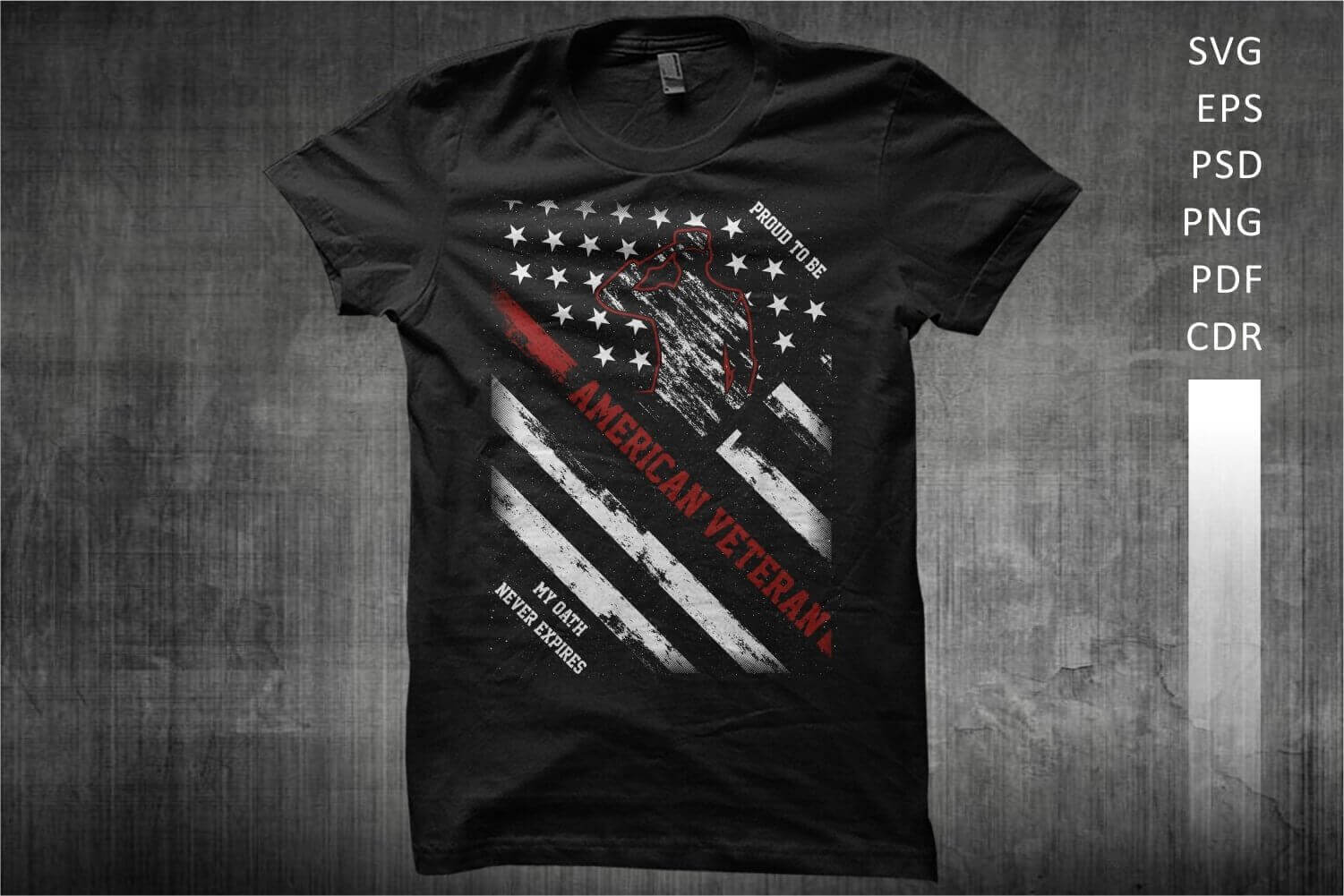 Black T-shirt with American flag and American Veteran slogan.