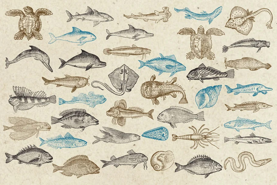 antique sea creatures clipart.