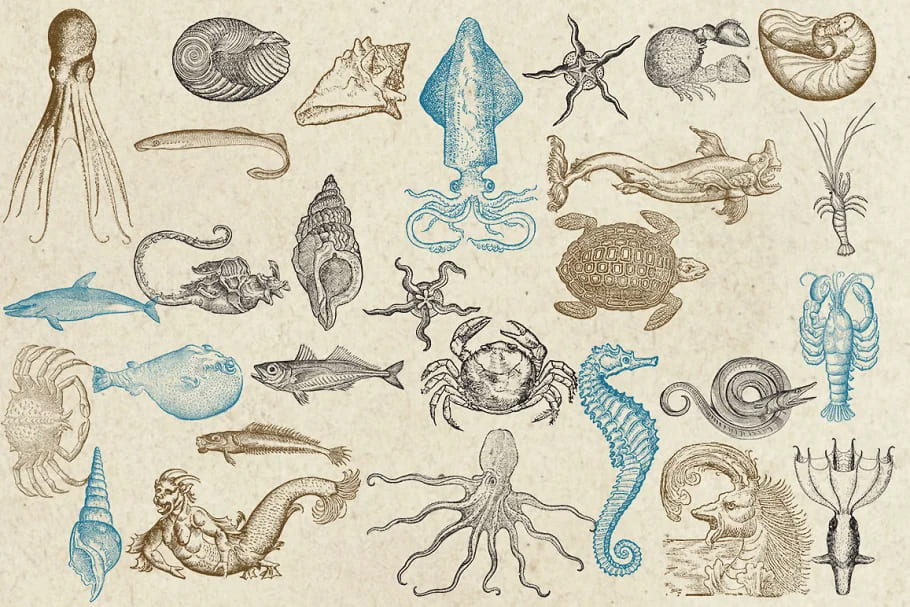 antique sea creatures graphics.