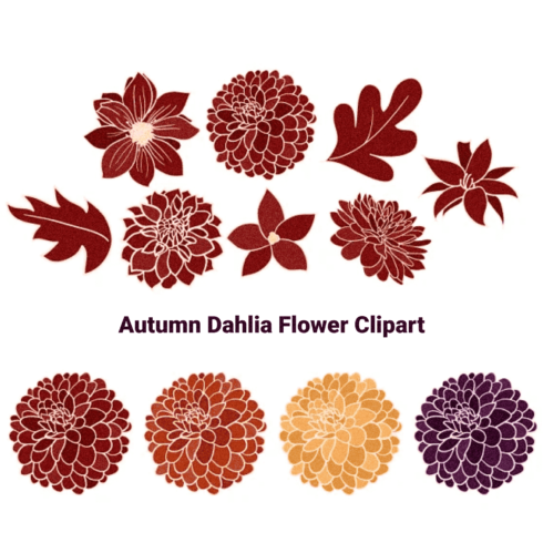 Autumn Dahlia Flower Clipart - Preview Image.