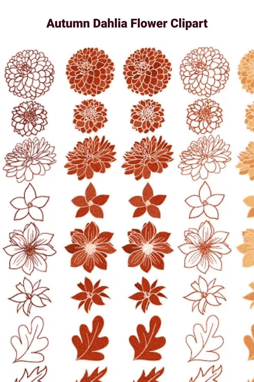 Autumn Dahlia Flower Clipart - Pinterest Image.