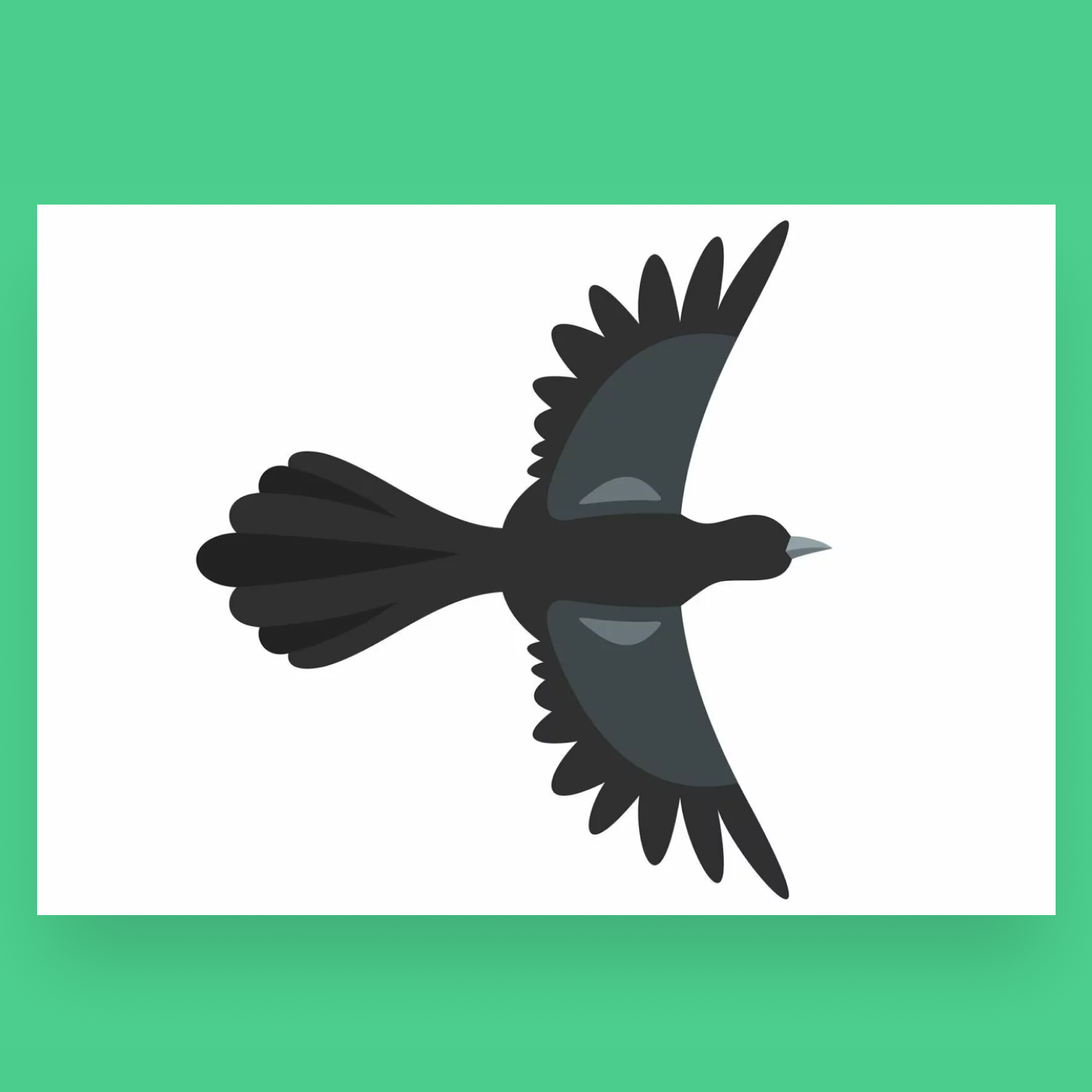 beautiful magpie icon cover image