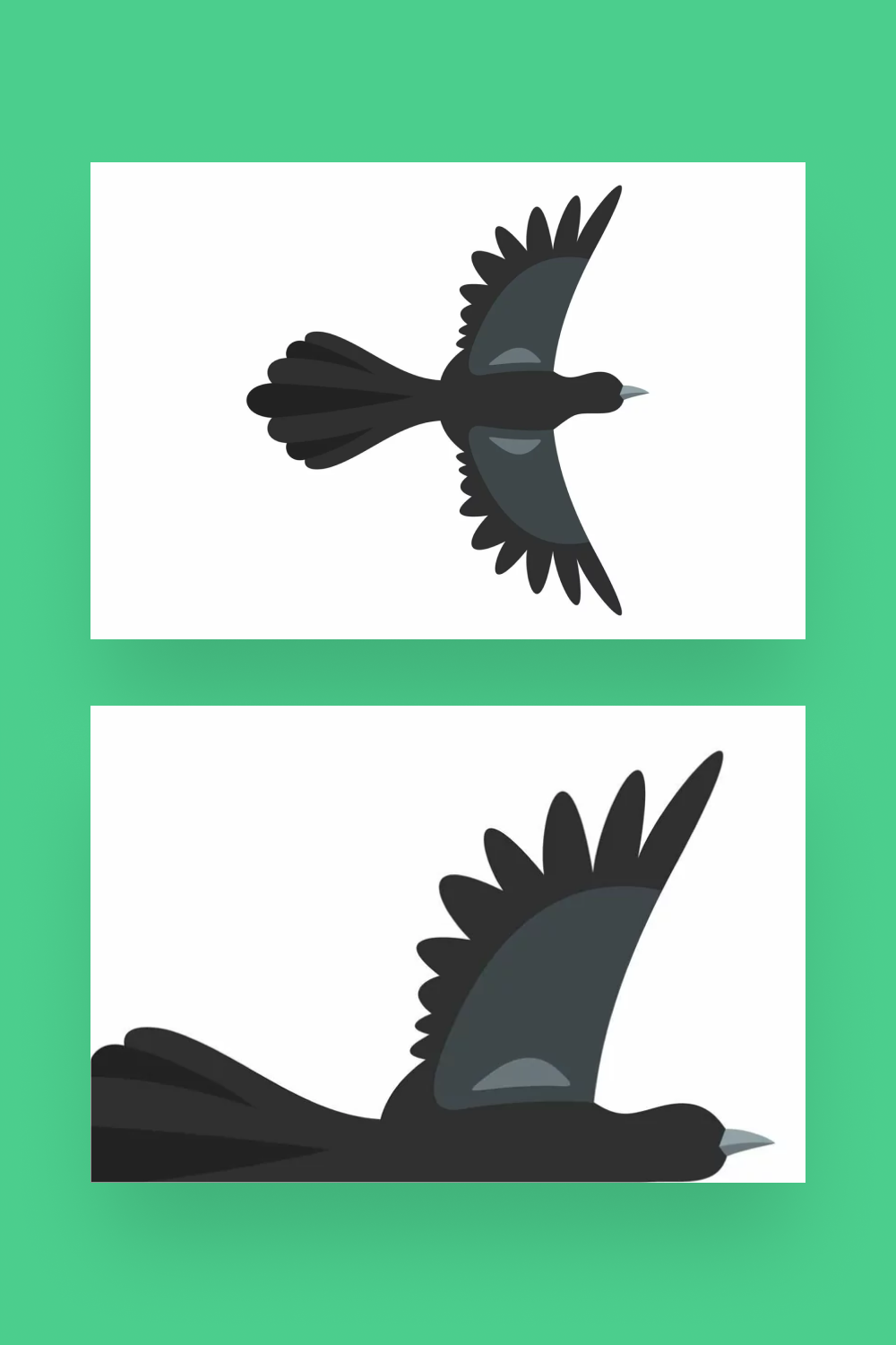 beautiful magpie icon pinterest