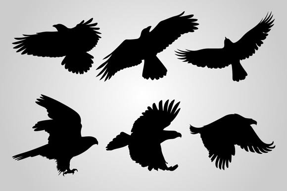 Flying crows are shown.
