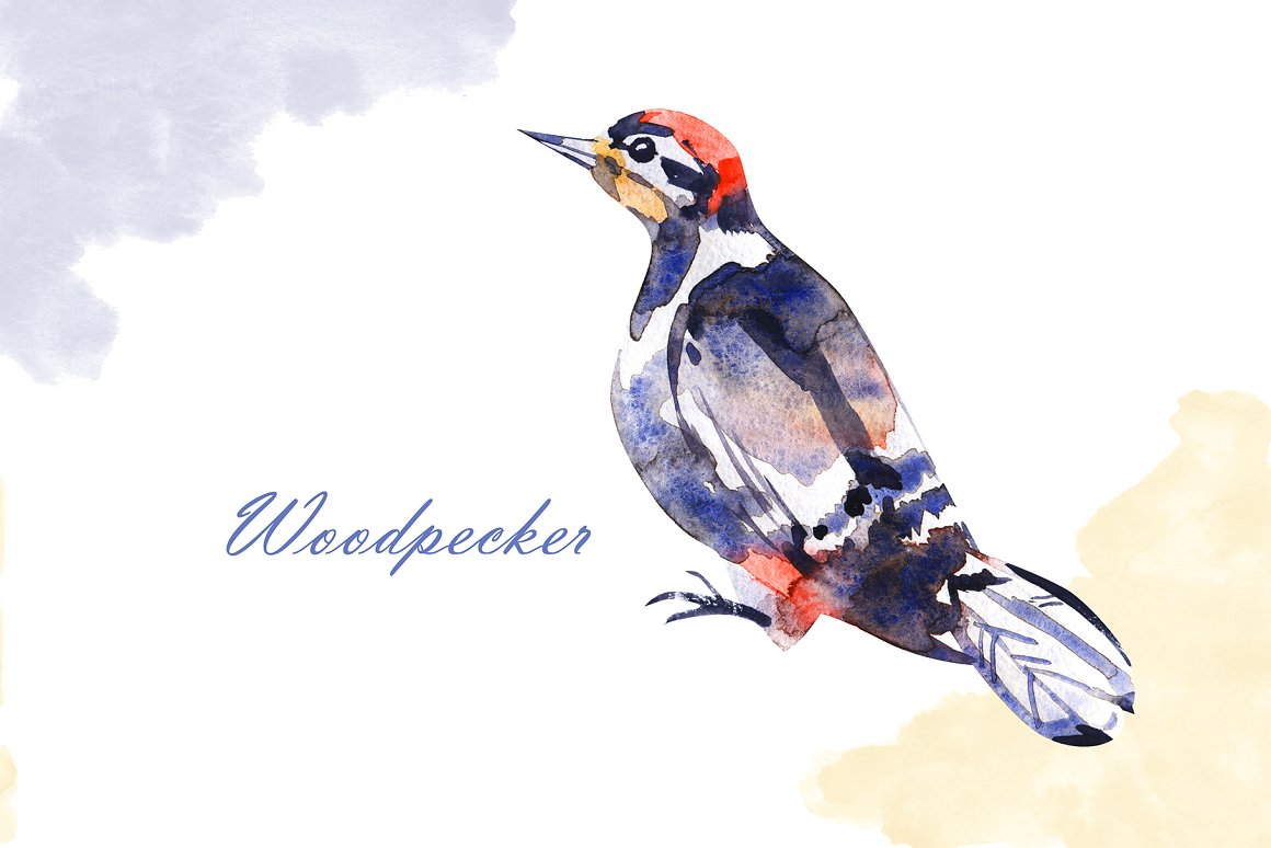 Woodpecker blue with black white and red inserts.