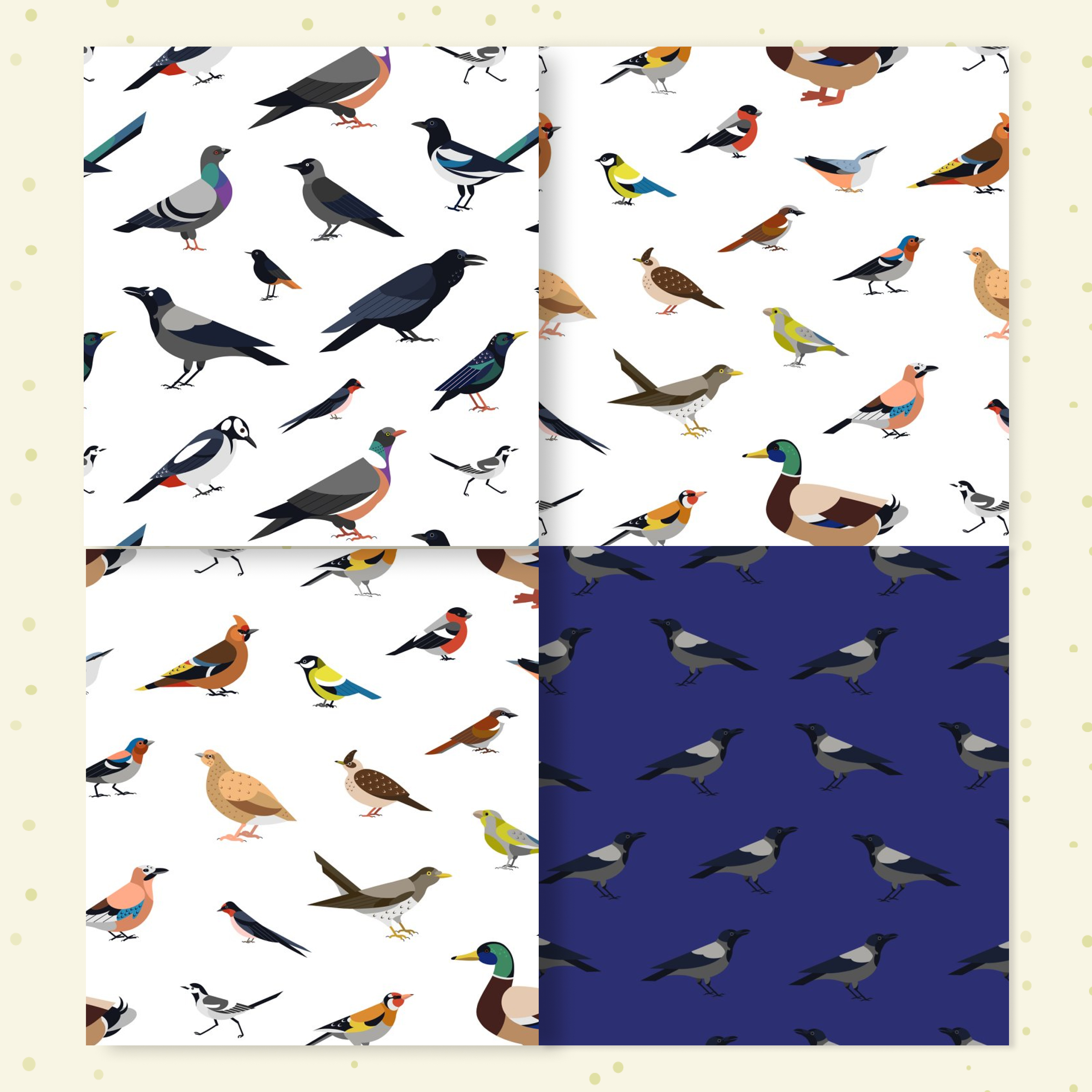 A variety of birds in the image.