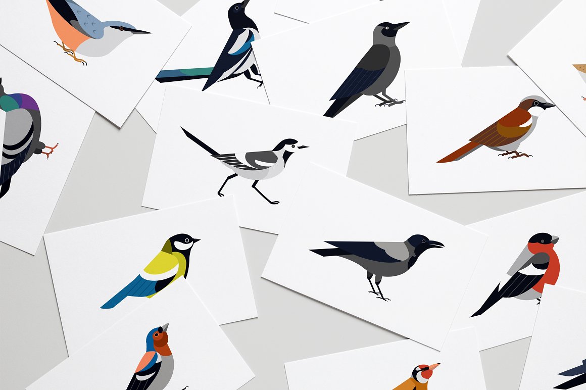 Cards with images of different birds.
