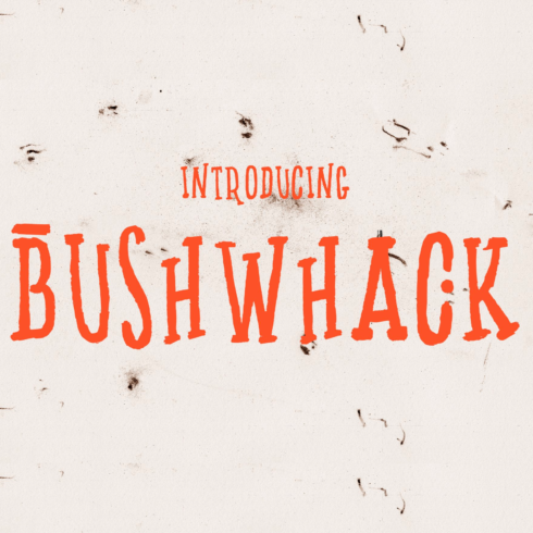 bushwhack font.