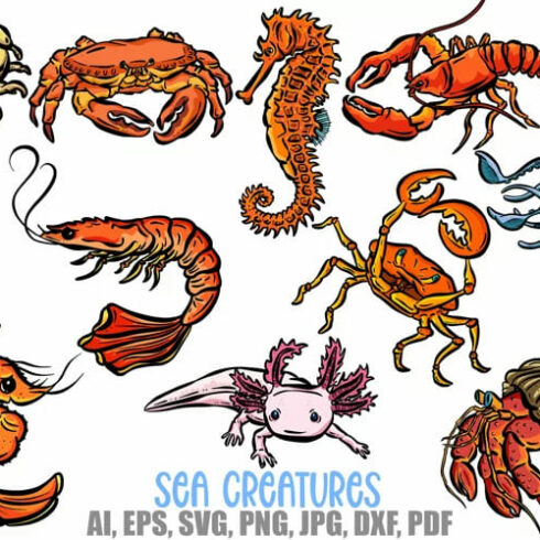 Cartoon Sea Creatures Crab Shrimp Axoloti Isopod Sticker SVG facebook image.