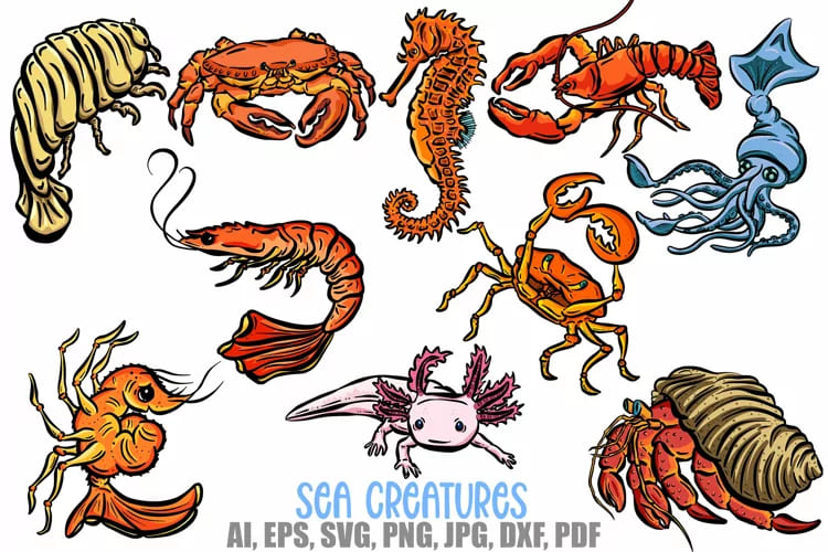 Cartoon Sea Creatures Crab Shrimp Axoloti Isopod Sticker SVG facebook image.