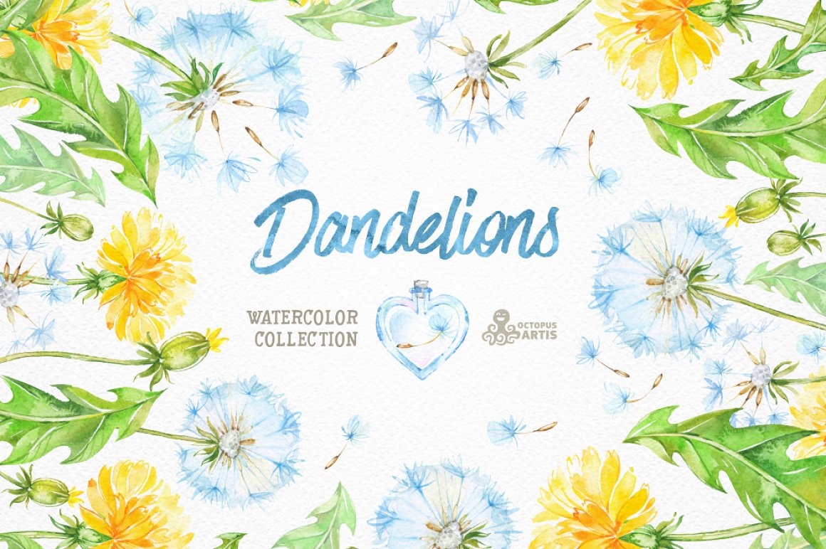 Wonderful prints of dandelions.