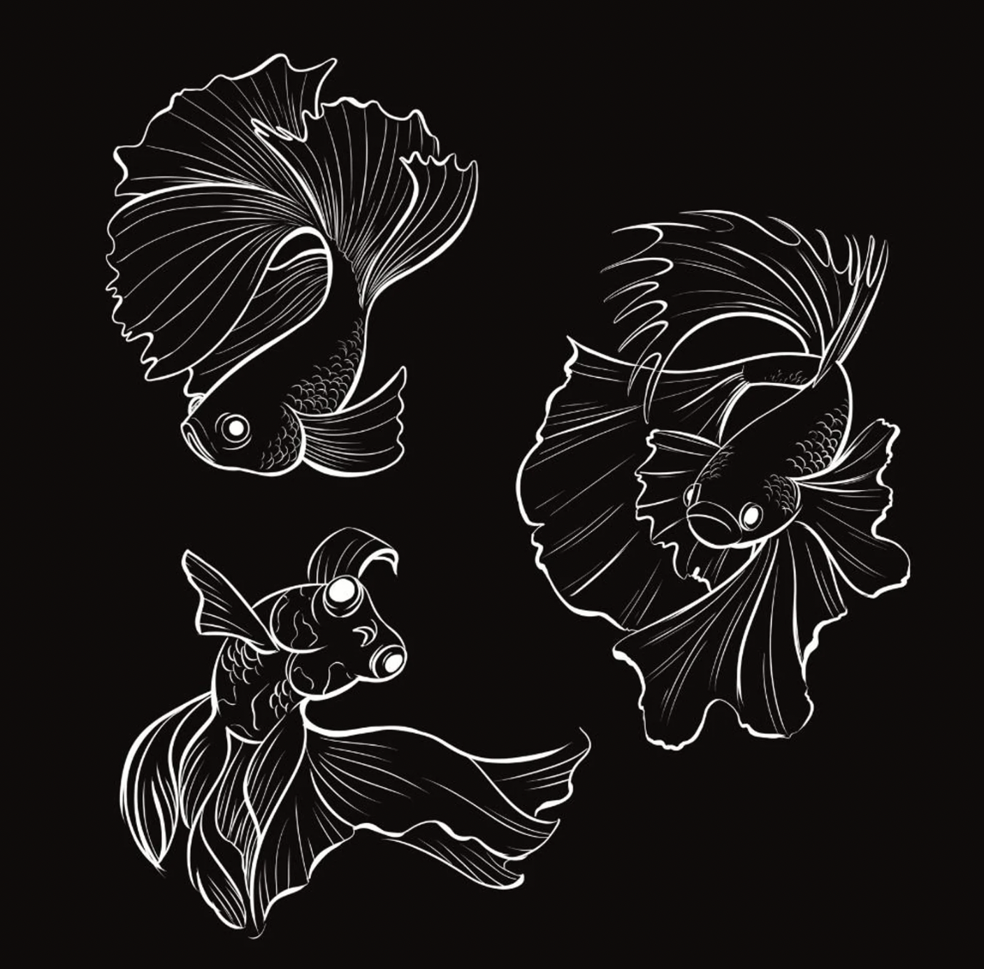 detailed fish clipart black and white