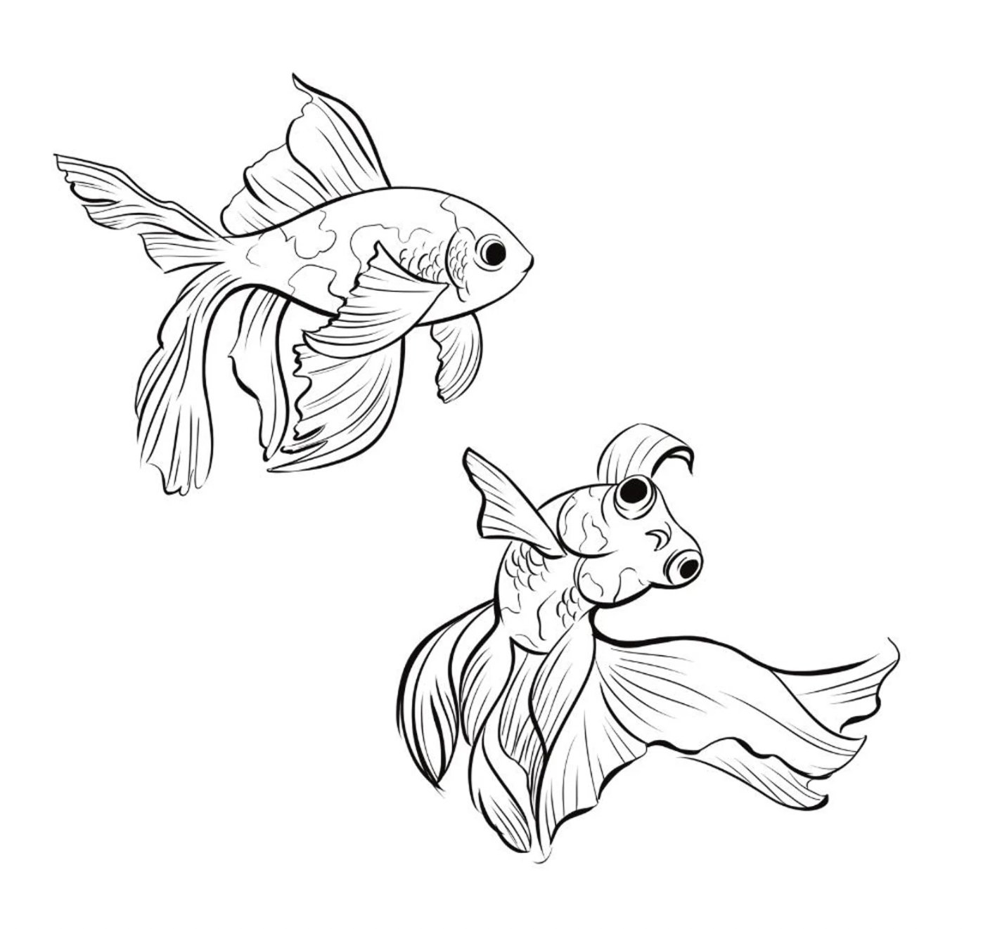 detailed fish line art clipart black and white1