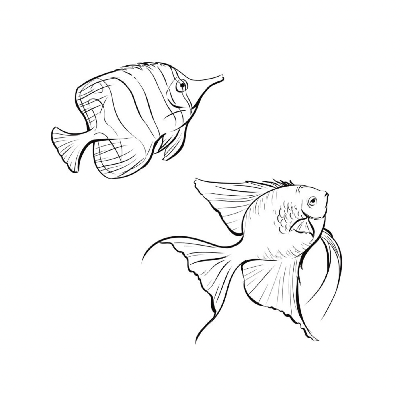 detailed fish line art clipart black and white3