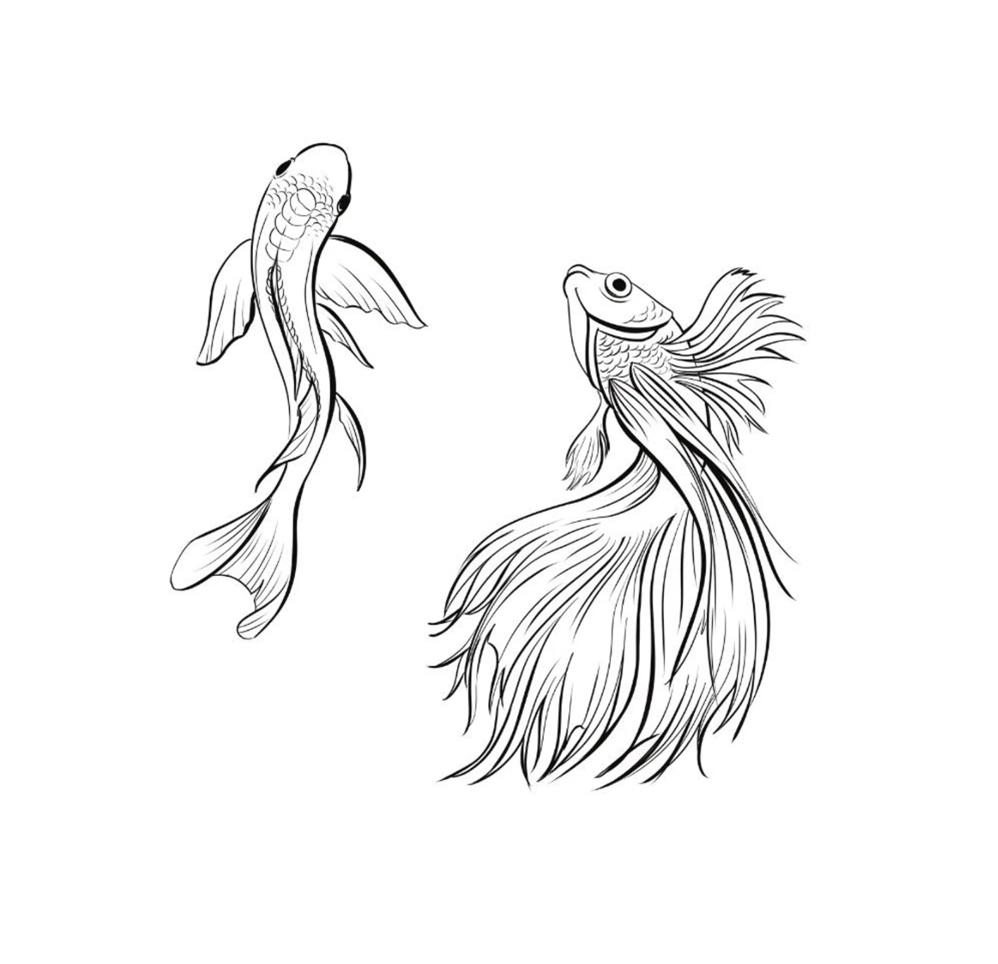 detailed fish line art clipart black and white4