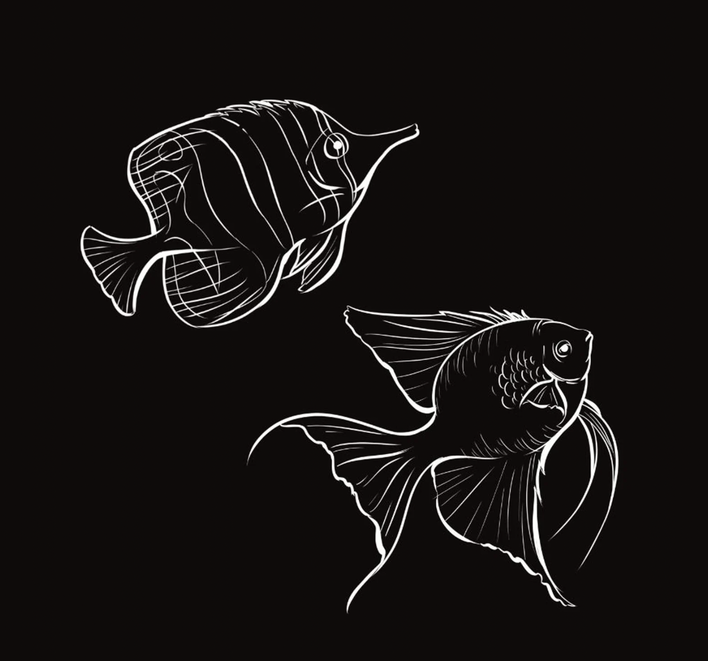 detailed fish line art.