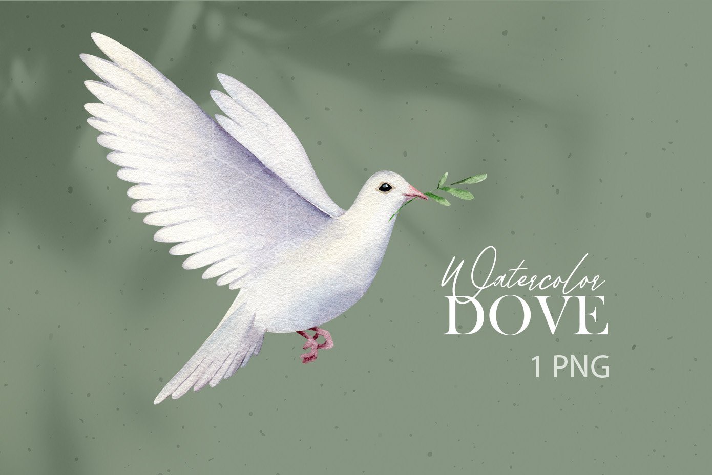 White dove on a green background.