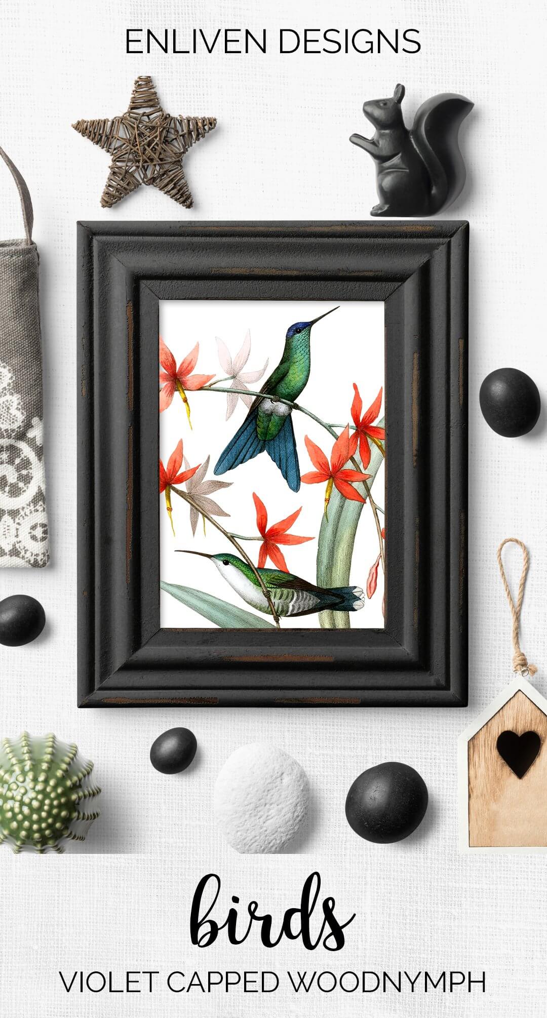 In the black frame is a picture with small hummingbirds.