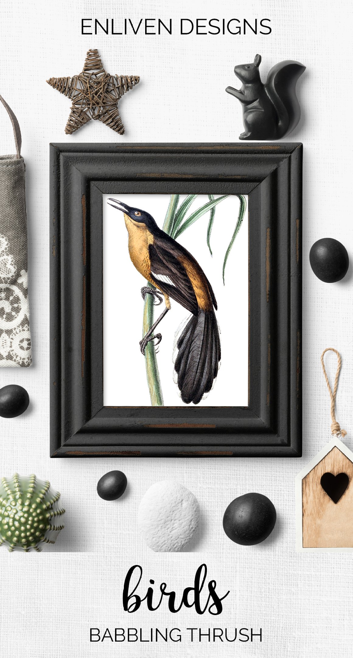 Black frame with a picture of a bird and stylization around it.