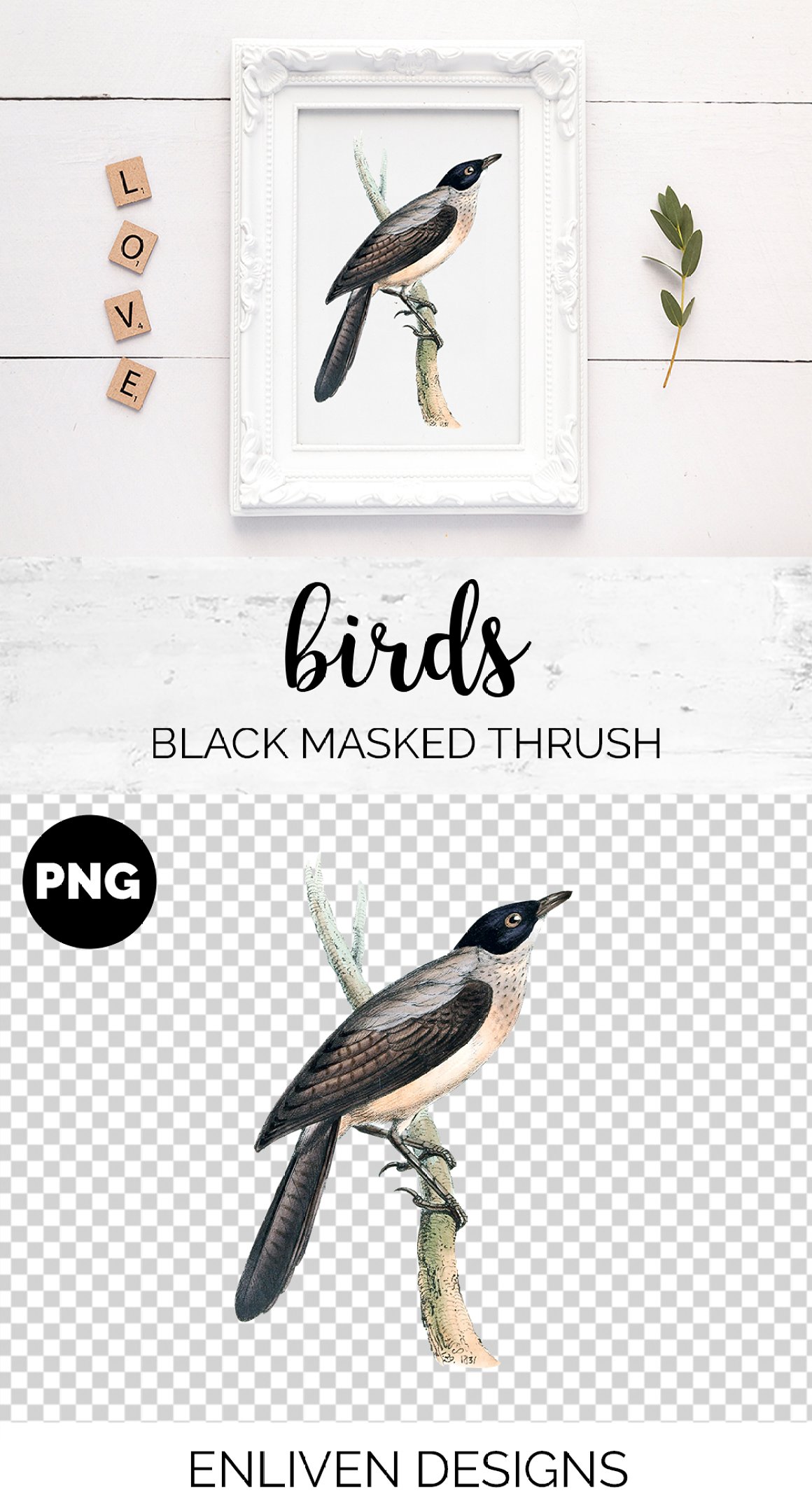 Preview of a picture with a picture of a bird and a branch.