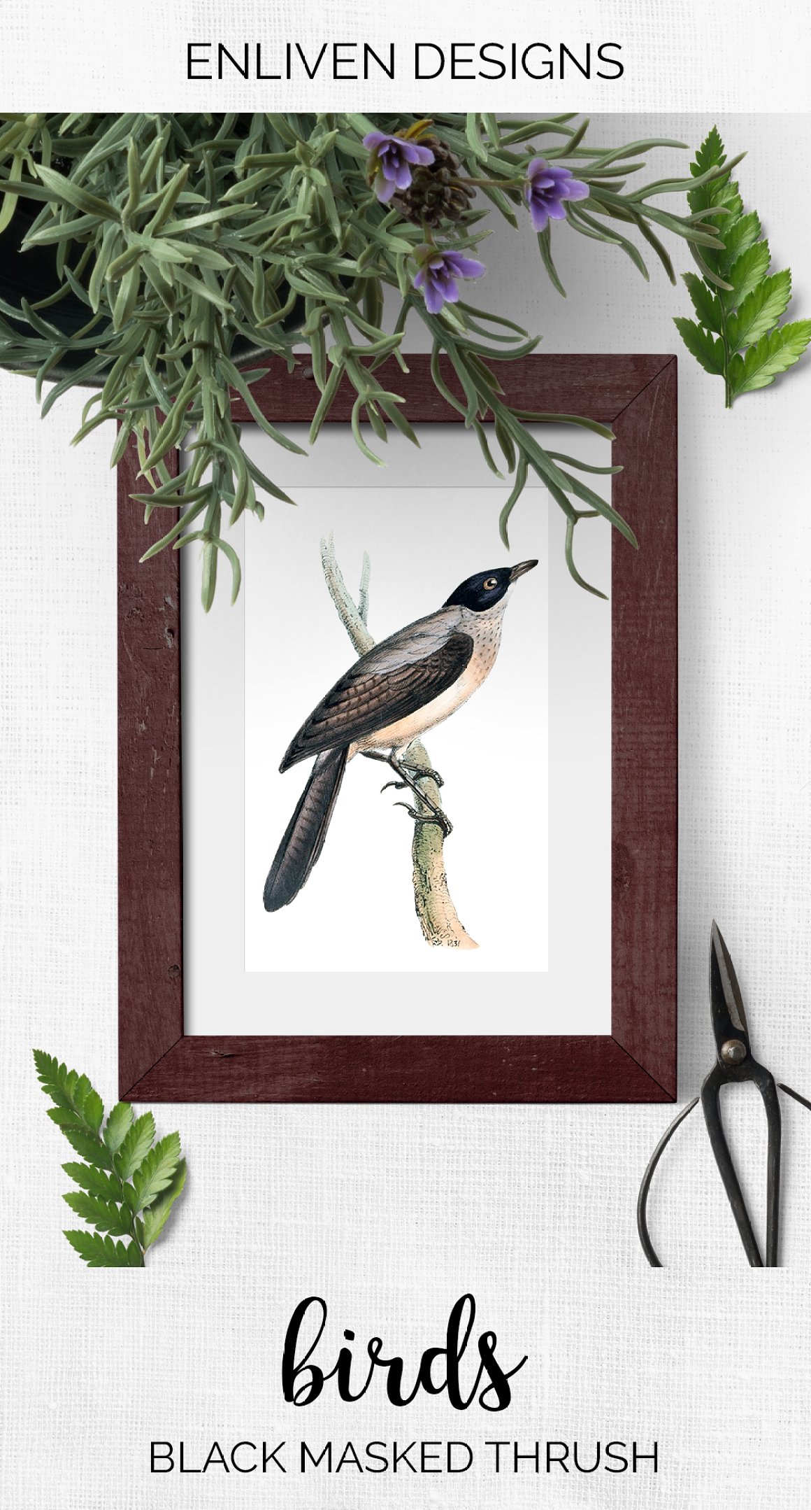 Brown frame with a picture of a bird and stylization around it.