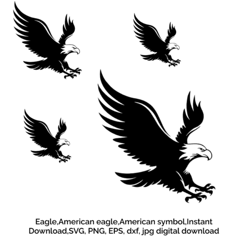 Set of eagle eagle eagle american symbol.