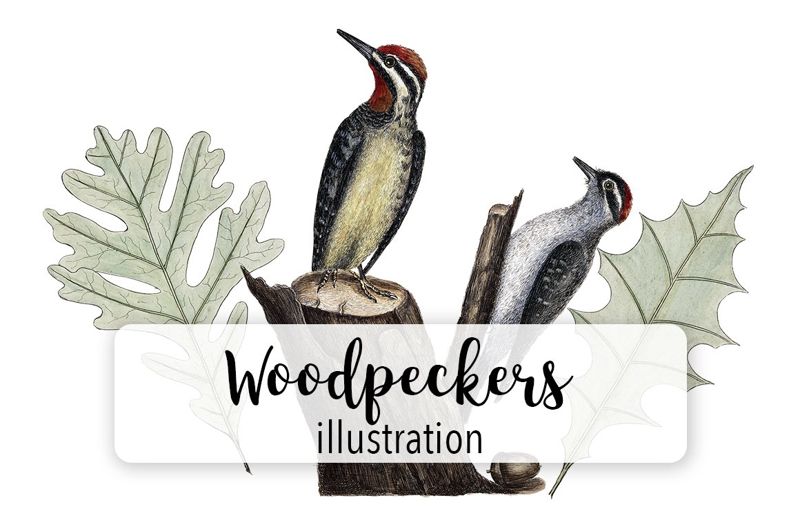 Fine woodpeckers sit on a tree trunk.