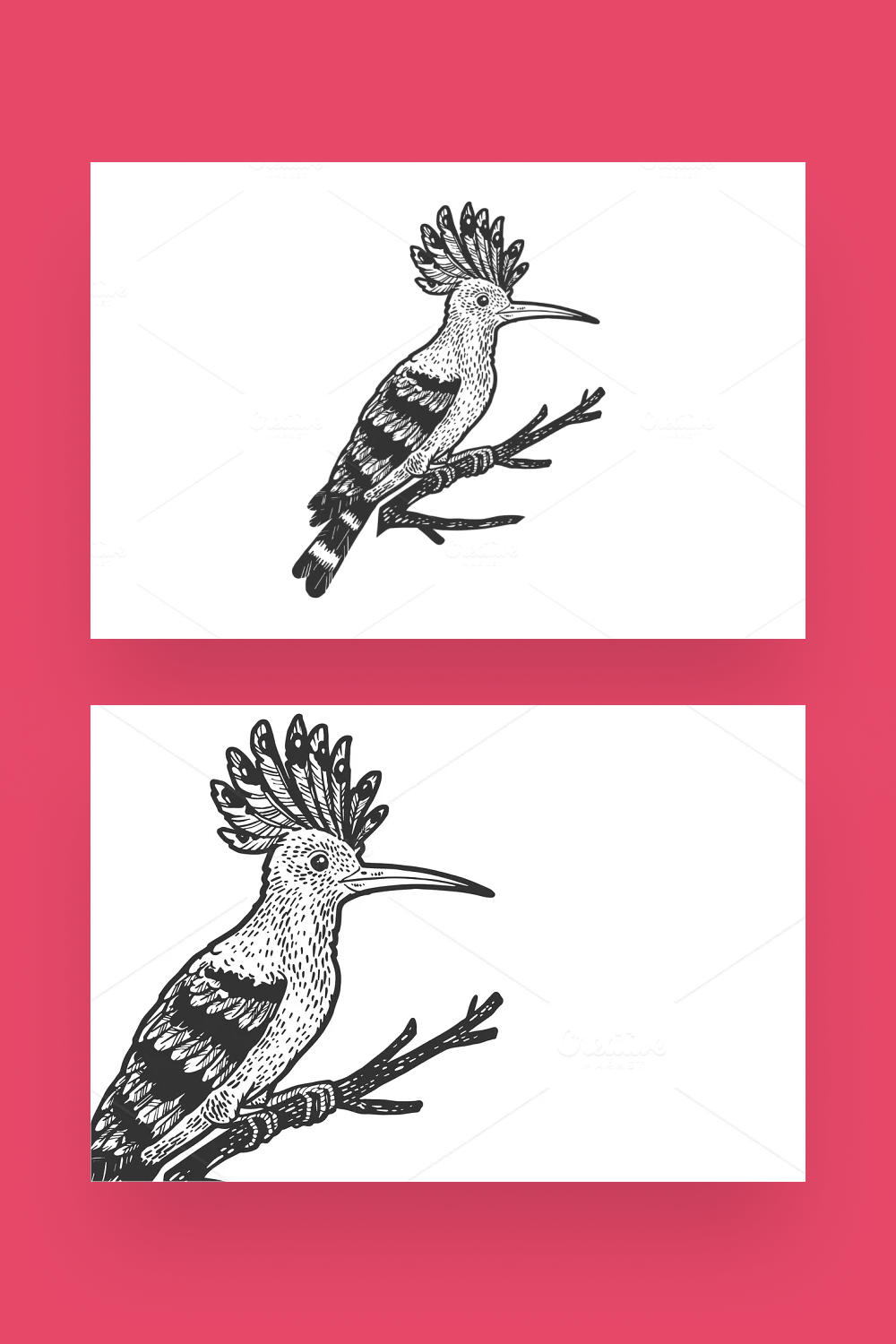 eurasian hoopoe bird sketch vector pinterest image