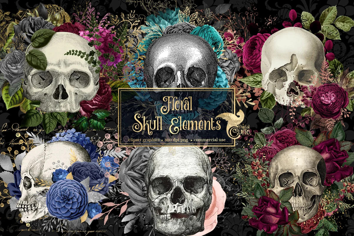 floral skull elements illustrations.